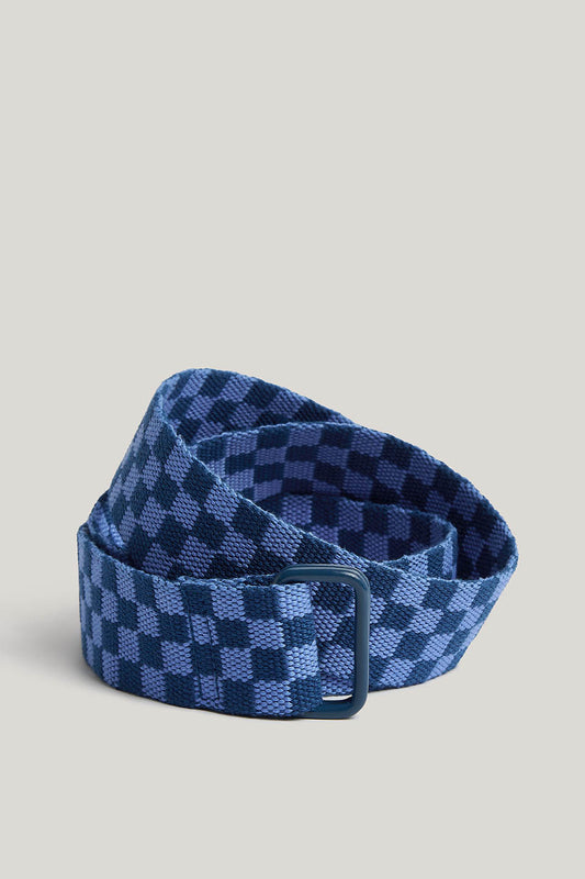 Flynn - D-Ring Webbing Belt Organic Cotton Webbing in Blue Checkerboard