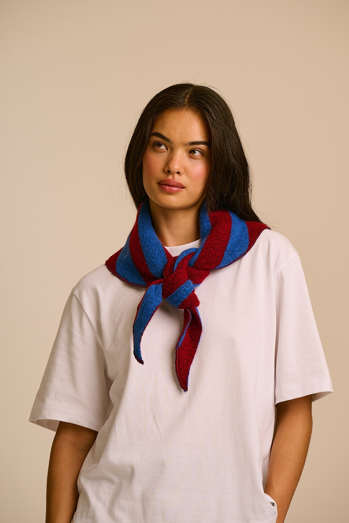 Loki - Neck Scarf Recycled Polyester in Burgundy and Blue Stripe
