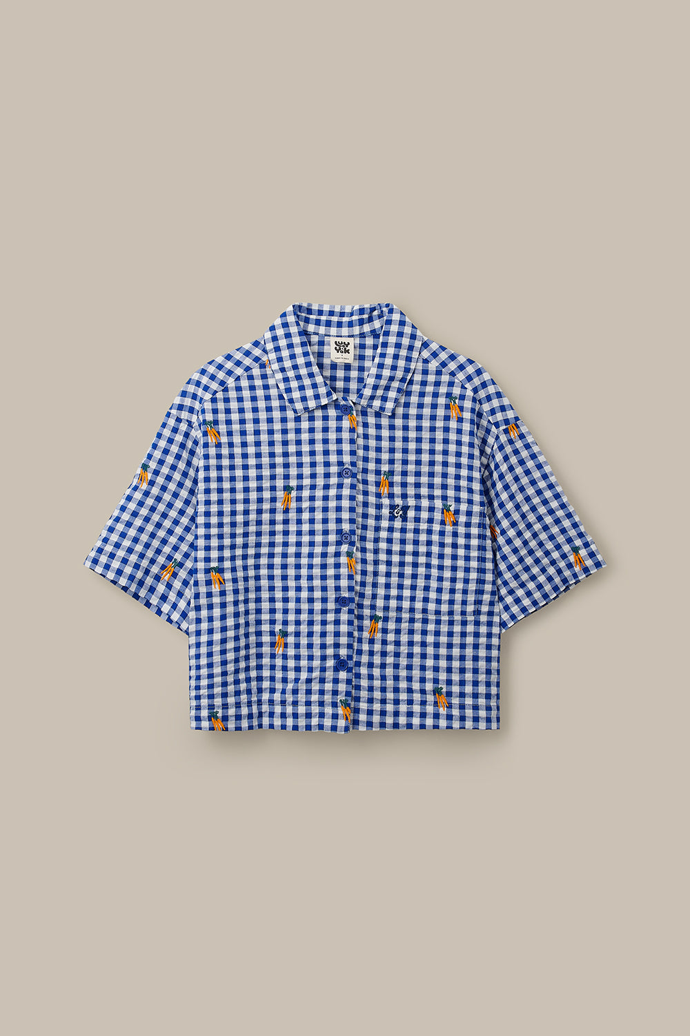 Archer - Cotton Shirt in Gingham with Carrot Embroidery